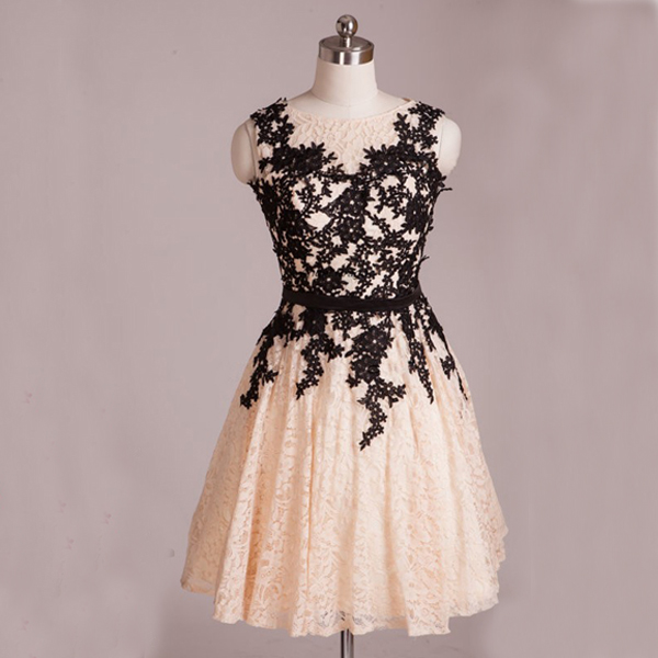 Short Lace Homecoming Dresses,charming A-line Appliques Homecoming Dresses,sleeveless Evening Dresses.