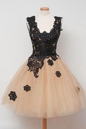 Charming Prom Dress,tulle Homecoming Dress,lace Appliques Homecoming Dresses,short Prom Dress